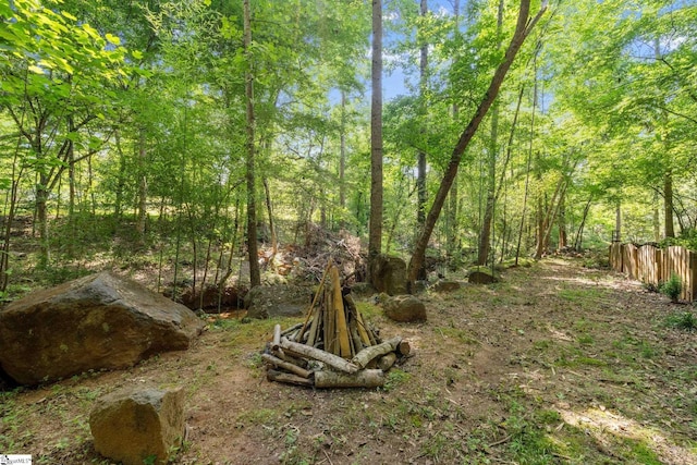 629 Germander Ct, Greer, SC 29651 - view of yard