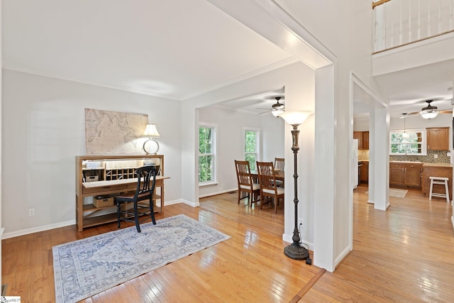 629 Germander Ct, Greer, SC 29651 - entryway featuring ceiling fan, healthy amount of natural light, light wood finished floors, and crown molding