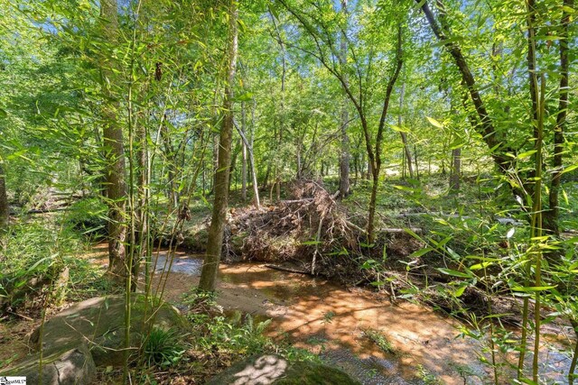 625 Germander Ct, Greer, SC 29651