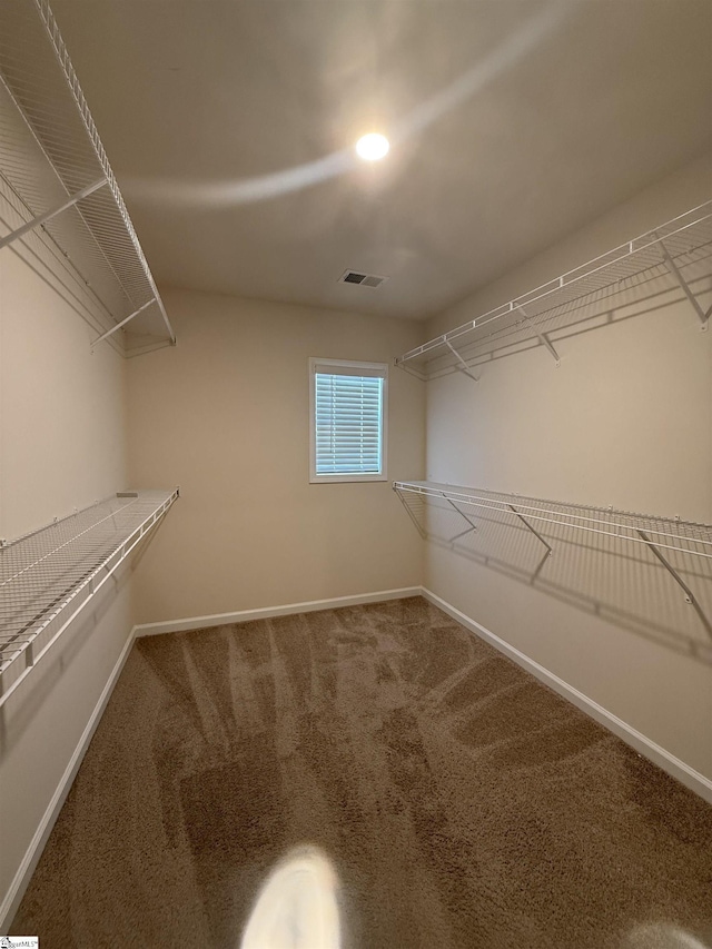 158 Clingstone Trl, Duncan, SC 29334 - walk in closet featuring carpet flooring