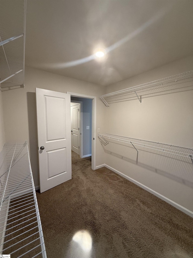 158 Clingstone Trl, Duncan, SC 29334 - walk in closet with carpet flooring