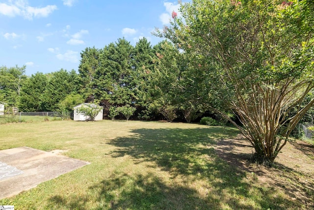 204 Dexter Bend Ct, Fountain Inn, SC 29644 - view of yard with a storage unit and a patio