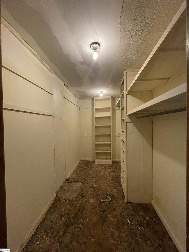 875 Love And Care Rd, Six Mile, SC 29682 - view of spacious closet