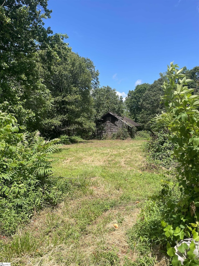 875 Love And Care Rd, Six Mile, SC 29682 - view of yard with a forest view