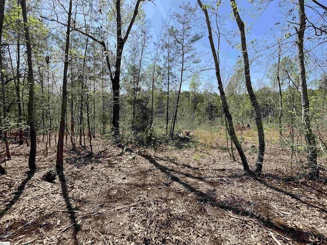 875 Love And Care Rd, Six Mile, SC 29682 - view of tree filled area