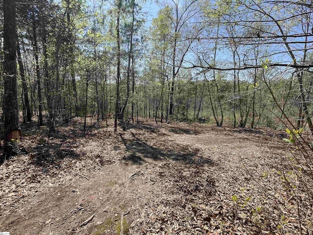 875 Love And Care Rd, Six Mile, SC 29682 - view of wooded area