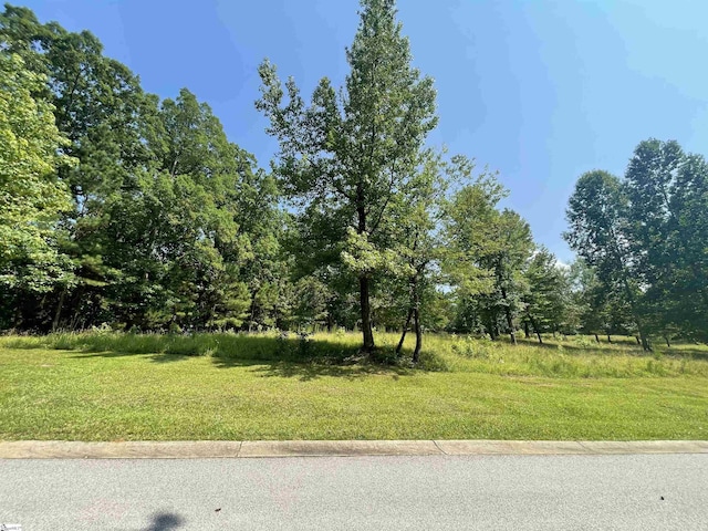 461 Overlook Dr, Fair Play, SC 29643