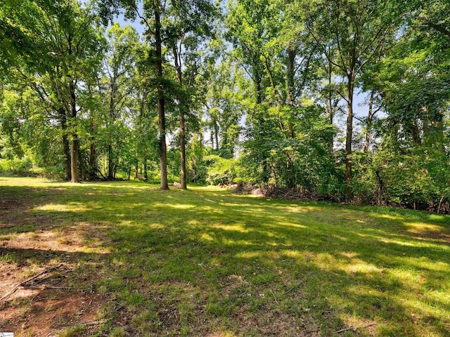 113 Commodore Dr, Duncan, SC 29334 - view of green lawn