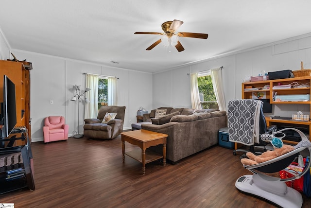 257 Mahaffey St, Belton, SC 29627 - living room featuring crown molding, ceiling fan, dark wood finished floors, and a decorative wall