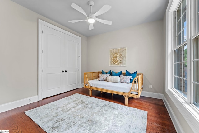 19 Hobcaw Dr, Greer, SC 29650 - bedroom featuring wood finished floors, multiple windows, a closet, and a ceiling fan