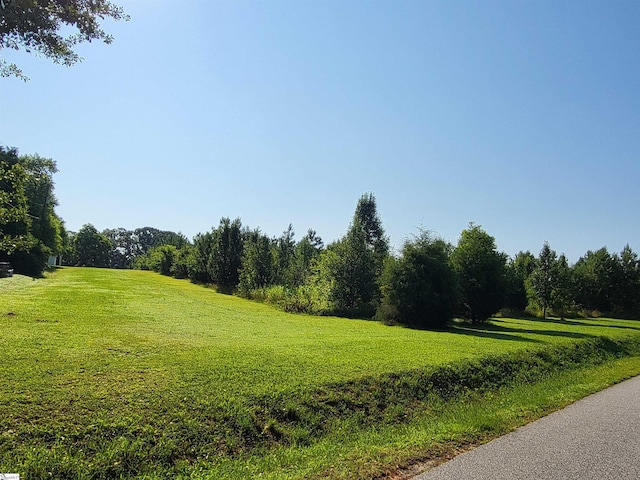 00 S Mcelhaney Rd, Greer, SC 29651