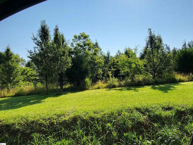 00 S Mcelhaney Rd, Greer, SC 29651