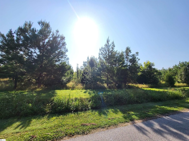 00 S Mcelhaney Rd, Greer, SC 29651