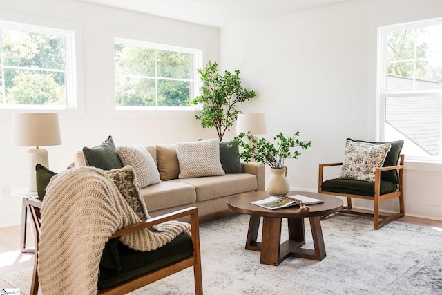 5 Martin Row, Greenville, SC 29601 - living room with plenty of natural light and wood finished floors
