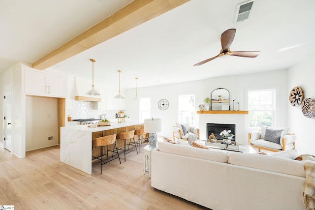 5 Martin Row, Greenville, SC 29601 - living room with light wood finished floors, a fireplace, and ceiling fan