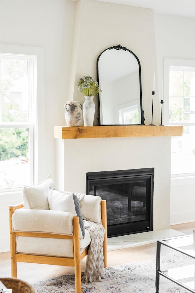 5 Martin Row, Greenville, SC 29601 - detailed view of a glass covered fireplace and wood finished floors