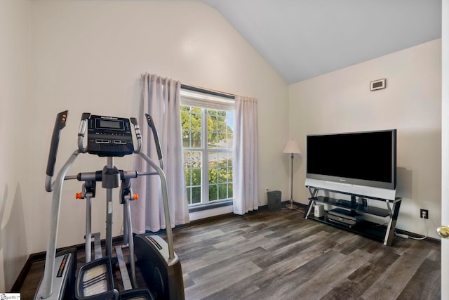 409 Summergreen Way, Greenville, SC 29607 - workout room with vaulted ceiling, plenty of natural light, and wood finished floors
