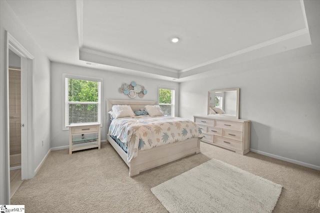 229 Layken Ln, Woodruff, SC 29388 - bedroom featuring a raised ceiling, carpet floors, and ornamental molding