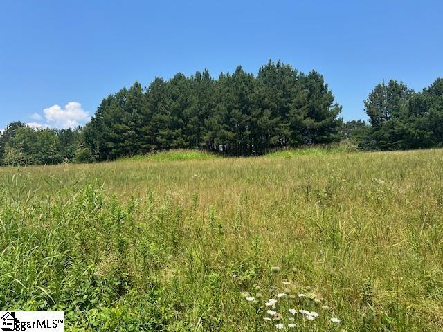 Fews Bridge Rd, Greer, SC 29651