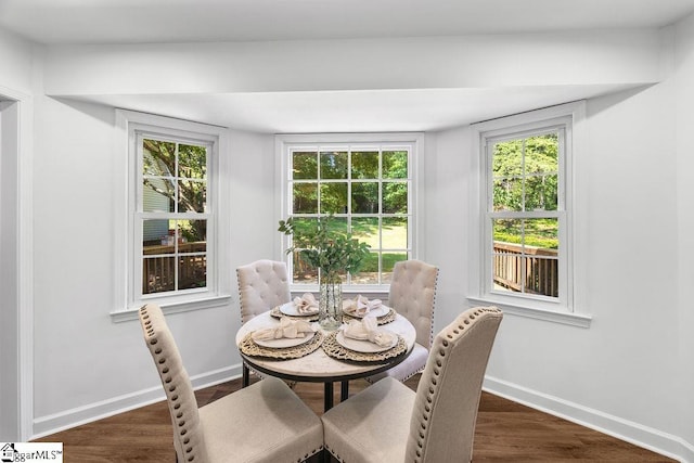 1117 Briarwood Dr, Easley, SC 29642 - dining space featuring dark wood-style floors