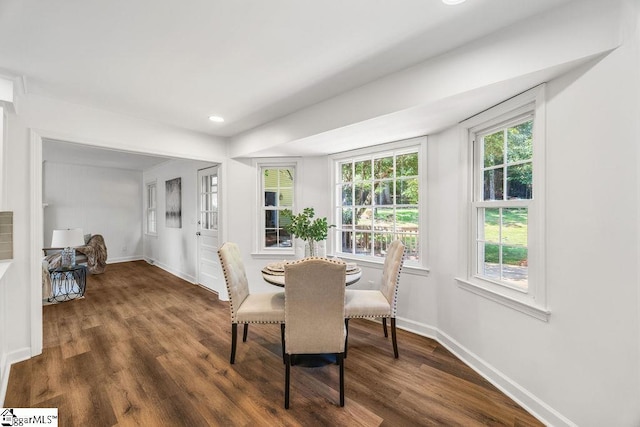 1117 Briarwood Dr, Easley, SC 29642 - dining space featuring wood finished floors and recessed lighting