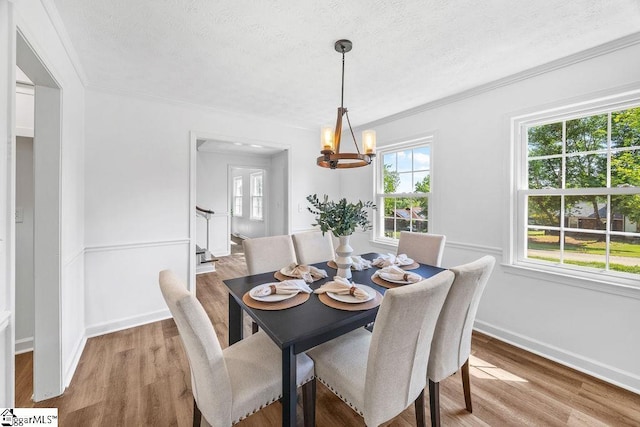 1117 Briarwood Dr, Easley, SC 29642 - dining area with plenty of natural light, a chandelier, a textured ceiling, wood finished floors, and ornamental molding