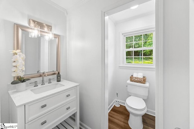 1117 Briarwood Dr, Easley, SC 29642 - half bathroom featuring crown molding, vanity, and wood finished floors