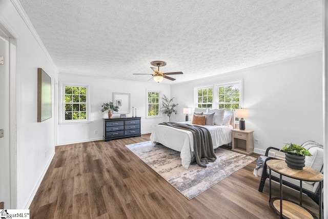 1117 Briarwood Dr, Easley, SC 29642 - bedroom with a textured ceiling, wood finished floors, a ceiling fan, and crown molding