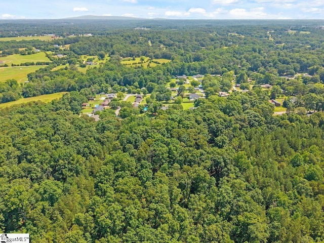 1117 Briarwood Dr, Easley, SC 29642 - drone / aerial view of a forest