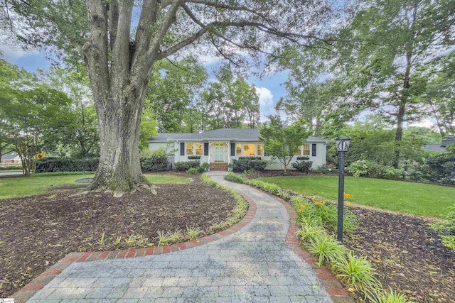 26 Tranquil Ave, Greenville, SC 29615 - ranch-style house featuring a front lawn