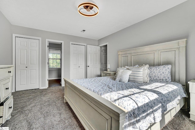 203 Camellia Ln, Simpsonville, SC 29681 - bedroom with carpet floors and multiple closets
