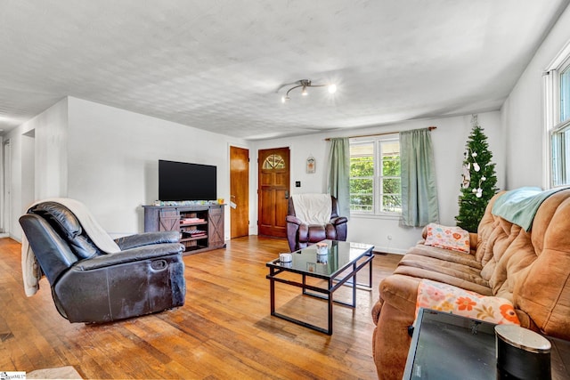 302 Douglas St, Laurens, SC 29360 - living area featuring hardwood / wood-style flooring
