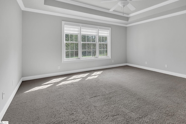 528 Carolee Way, Greer, SC 29651 - spare room featuring a tray ceiling, carpet flooring, ceiling fan, and ornamental molding