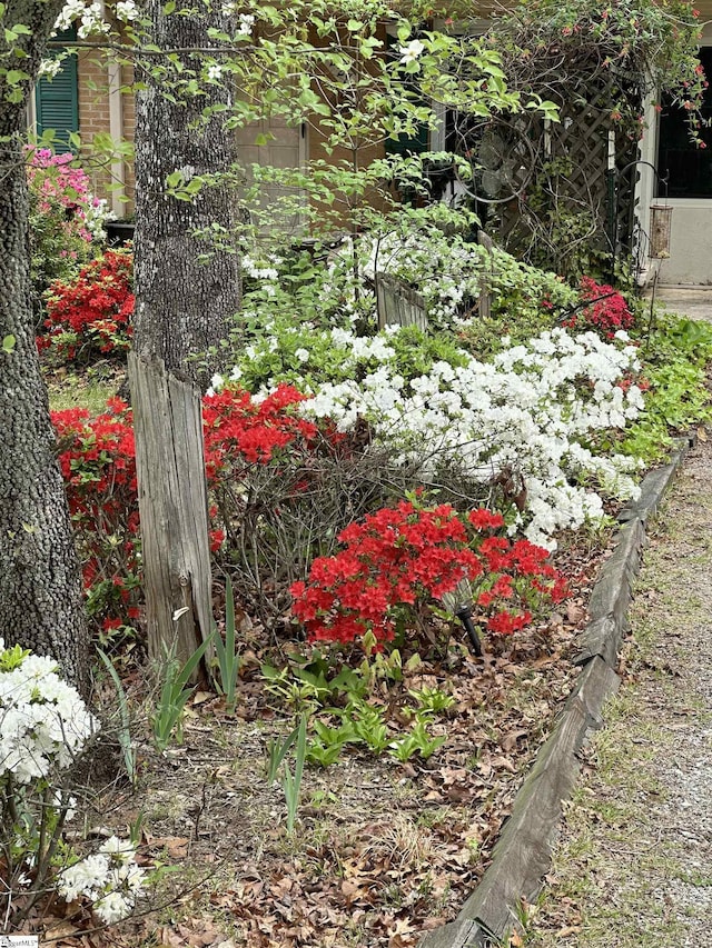 228 Styles Rd, Taylors, SC 29687 - view of yard