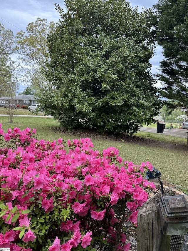 228 Styles Rd, Taylors, SC 29687 - view of yard