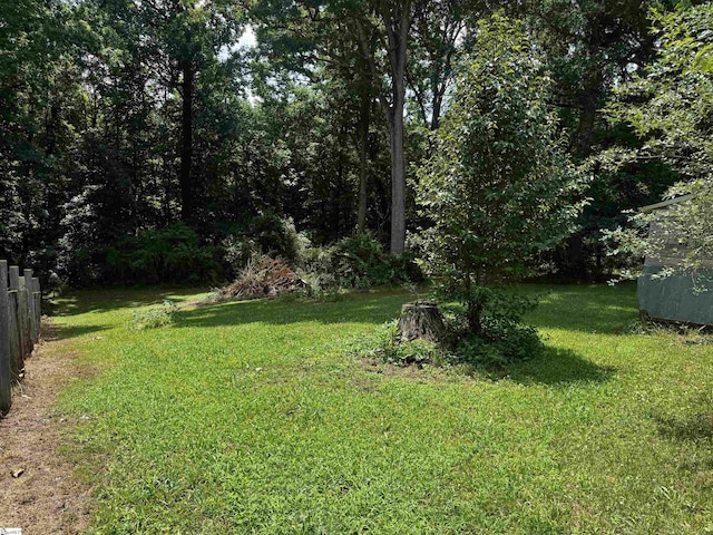 228 Styles Rd, Taylors, SC 29687 - view of yard