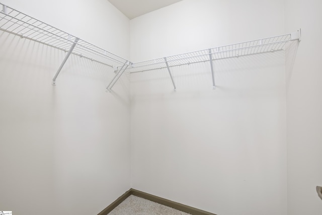 235B Pendleton Rd, Clemson, SC 29631 - walk in closet with carpet