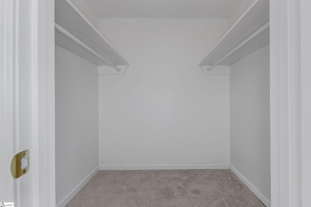 103 Gaithburg Sq, Taylors, SC 29687 - walk in closet featuring carpet floors