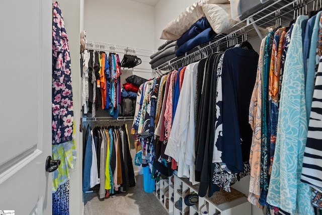 506 Bellot Winds Dr, Duncan, SC 29334 - spacious closet featuring carpet