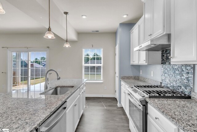 10 Wiltshire Cir, Easley, SC 29642 - kitchen featuring appliances with stainless steel finishes, under cabinet range hood, dark wood finished floors, backsplash, and healthy amount of natural light