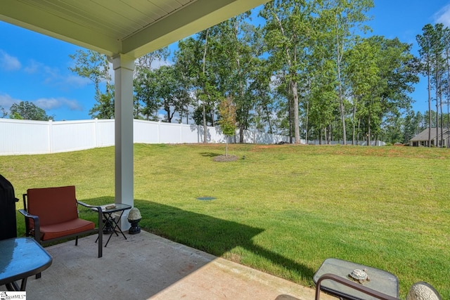 4002 Hometown Way, Boiling Springs, SC 29316 - view of yard featuring a patio