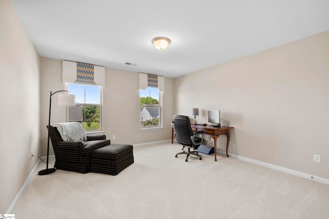 202 Princeton Dr, Duncan, SC 29334 - home office with carpet flooring