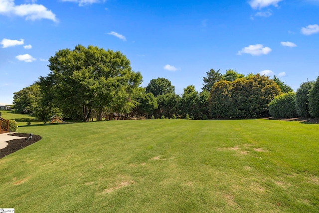 202 Princeton Dr, Duncan, SC 29334 - view of green lawn