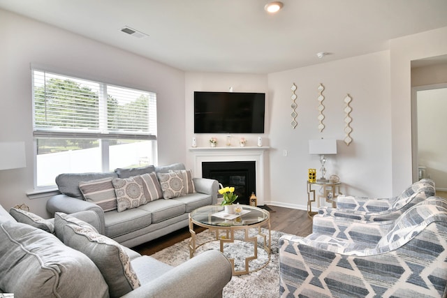 805 Colmore Trl, Lyman, SC 29365 - living room with wood finished floors and a glass covered fireplace