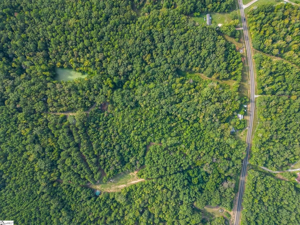 6091 River Fork Rd, Waterloo, SC 29384