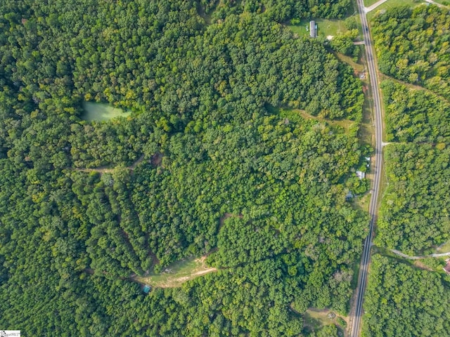 6091 River Fork Rd, Waterloo, SC 29384