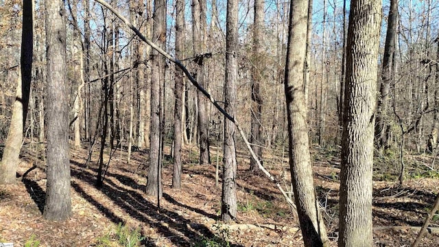 00B Sullivan Rd, Laurens, SC 29360