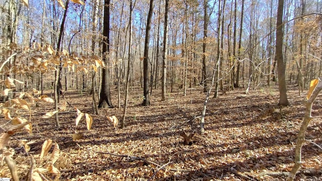 00B Sullivan Rd, Laurens, SC 29360