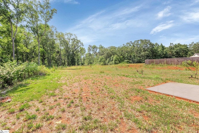317 R C Thompson Rd, Chesnee, SC 29323 - view of yard