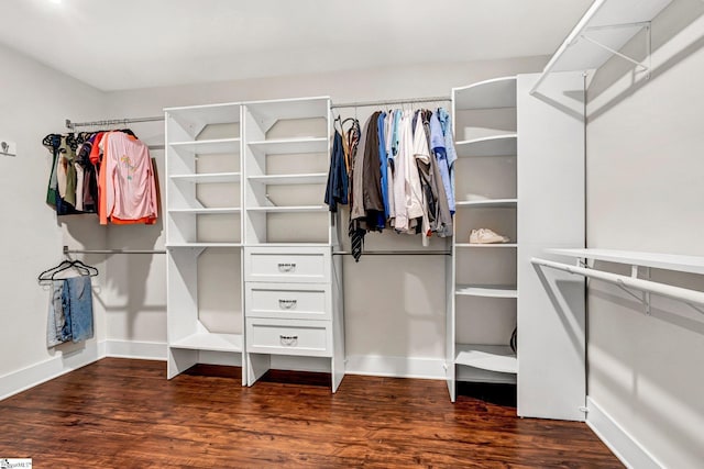 214 Terrapin Cross Way, Simpsonville, SC 29680 - walk in closet with dark wood-style floors